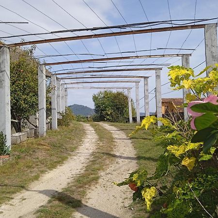 La Maison D'Abelleira Ponteareas Ngoại thất bức ảnh